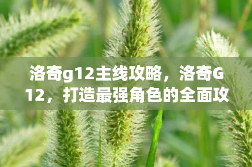 洛奇g12主线攻略，洛奇G12，打造最强角色的全面攻略