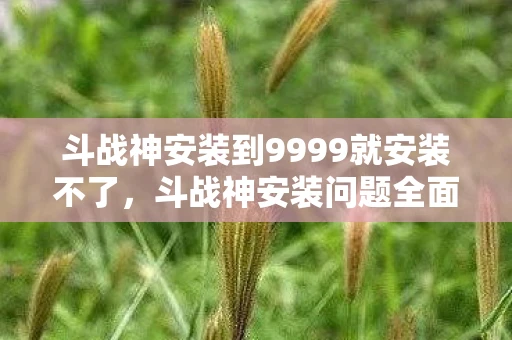 斗战神安装到9999就安装不了，斗战神安装问题全面解析与解决方案