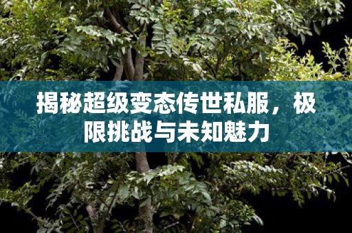 揭秘超级变态传世私服图片