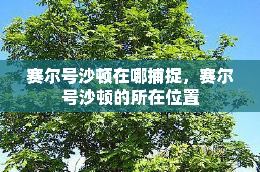 赛尔号沙顿在哪捕捉，赛尔号沙顿的所在位置