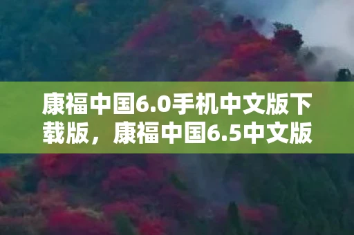 康福中国6.0手机中文版下载版，康福中国6.5中文版下载指南