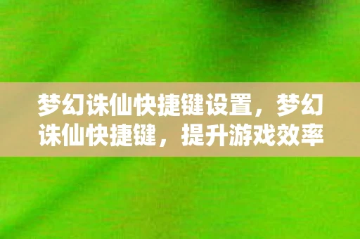 梦幻诛仙快捷键设置，梦幻诛仙快捷键，提升游戏效率的关键