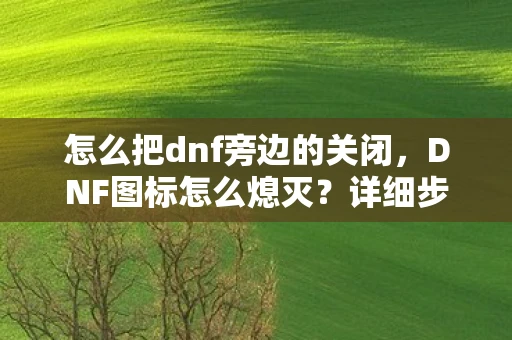 怎么把dnf旁边的关闭，DNF图标怎么熄灭？详细步骤与注意事项