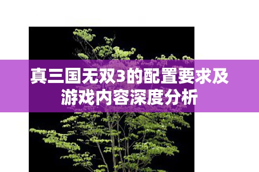 真三国无双3的配置要求及游戏内容深度分析图片