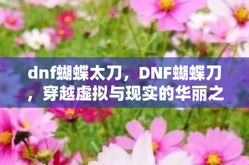 dnf蝴蝶太刀，DNF蝴蝶刀，穿越虚拟与现实的华丽之舞