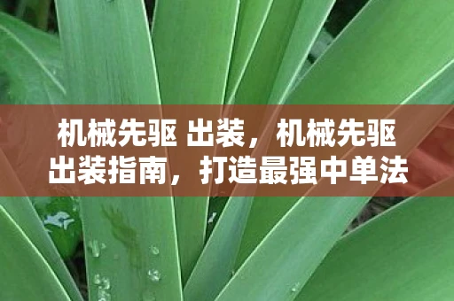 机械先驱 出装，机械先驱出装指南，打造最强中单法师