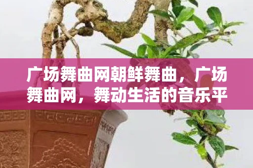 广场舞曲网朝鲜舞曲，广场舞曲网，舞动生活的音乐平台