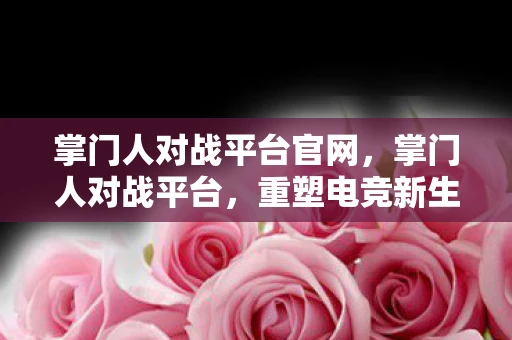 掌门人对战平台官网，掌门人对战平台，重塑电竞新生态的先锋