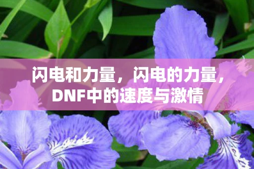 闪电和力量，闪电的力量，DNF中的速度与激情