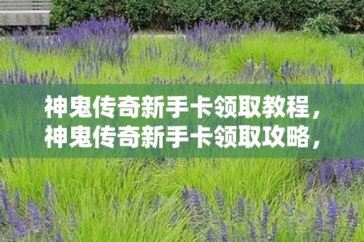 神鬼传奇新手卡领取教程，神鬼传奇新手卡领取攻略，开启你的奇幻冒险之旅