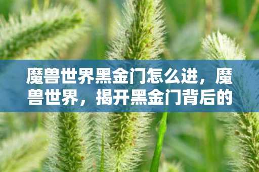 魔兽世界黑金门怎么进，魔兽世界，揭开黑金门背后的秘密