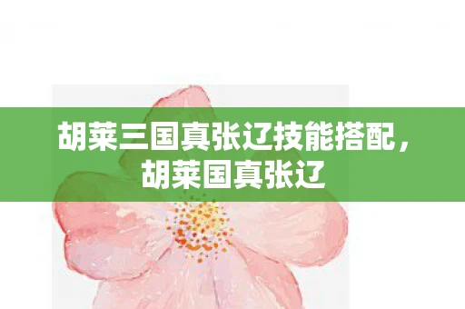 胡莱三国真张辽技能搭配，胡莱国真张辽