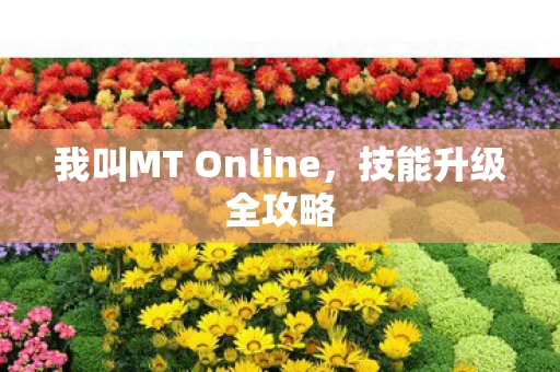 我叫MT Online图片