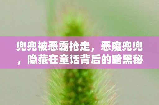 兜兜被恶霸抢走，恶魔兜兜，隐藏在童话背后的暗黑秘密