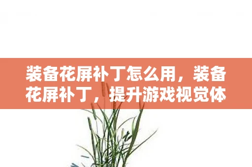 装备花屏补丁怎么用，装备花屏补丁，提升游戏视觉体验的新利器
