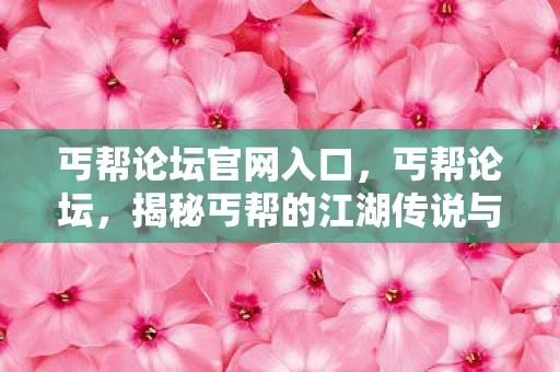 丐帮论坛官网入口，丐帮论坛，揭秘丐帮的江湖传说与现实