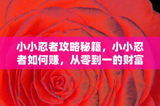 小小忍者攻略秘籍，小小忍者如何赚，从零到一的财富积累策略