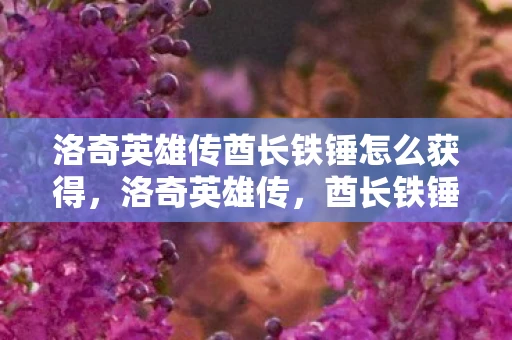 洛奇英雄传酋长铁锤怎么获得，洛奇英雄传，酋长铁锤的传奇故事