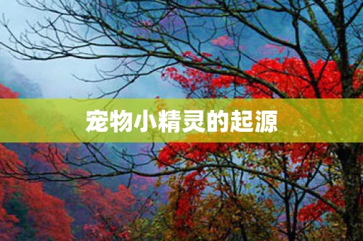 宠物小精灵的起源图片
