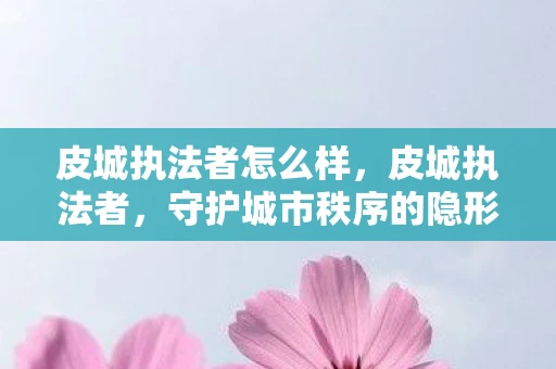 皮城执法者怎么样，皮城执法者，守护城市秩序的隐形守护者