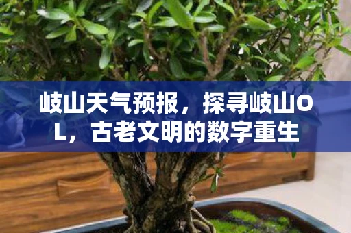 岐山天气预报，探寻岐山OL，古老文明的数字重生