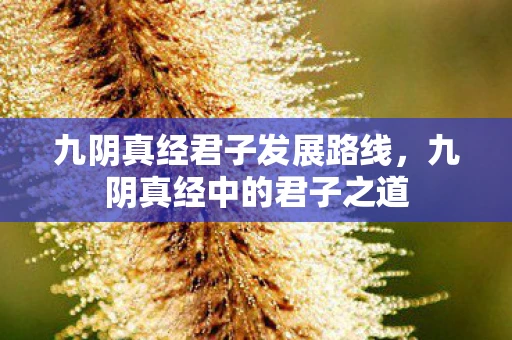 九阴真经君子发展路线，九阴真经中的君子之道