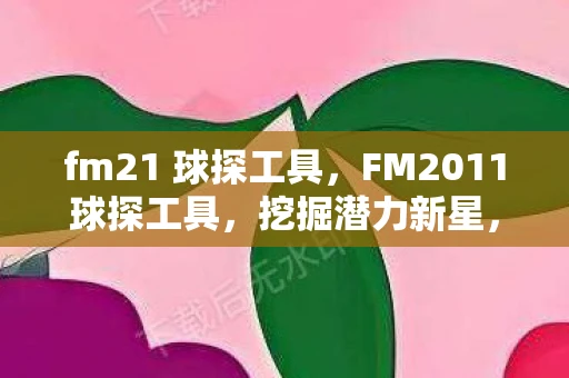 fm21 球探工具，FM2011球探工具，挖掘潜力新星，打造梦幻阵容