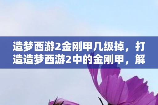 造梦西游2金刚甲几级掉，打造造梦西游2中的金刚甲，解锁最强防御装备