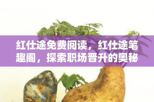 红仕途免费阅读，红仕途笔趣阁，探索职场晋升的奥秘