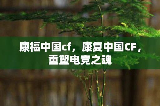 康福中国cf，康复中国CF，重塑电竞之魂