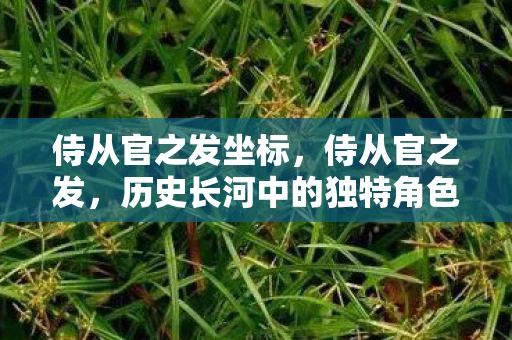 侍从官之发坐标，侍从官之发，历史长河中的独特角色