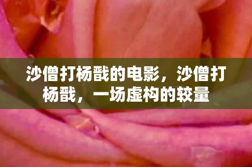 沙僧打杨戬的电影，沙僧打杨戬，一场虚构的较量