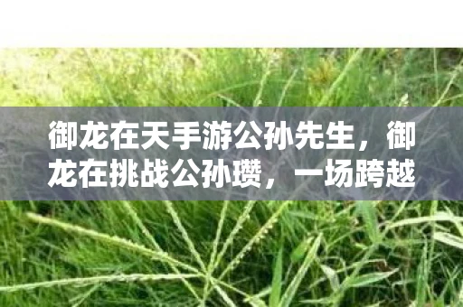 御龙在天手游公孙先生，御龙在挑战公孙瓒，一场跨越时代的对决