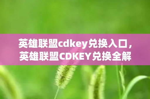 英雄联盟cdkey兑换入口，英雄联盟CDKEY兑换全解析，从入门到精通