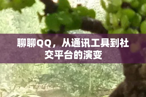 聊聊QQ，从通讯工具到社交平台的演变