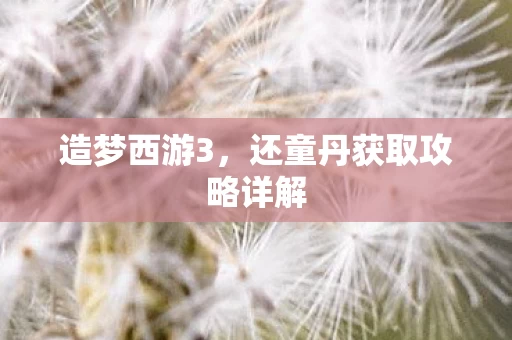还童丹获取攻略详解图片