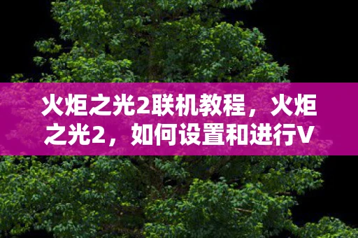 火炬之光2联机教程，火炬之光2，如何设置和进行VLAN联机