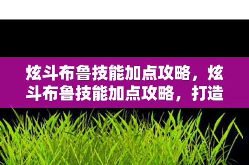 炫斗布鲁技能加点攻略，炫斗布鲁技能加点攻略，打造最强战斗力的关键