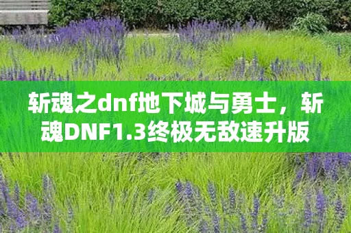 斩魂之dnf地下城与勇士，斩魂DNF1.3终极无敌速升版，打造你的最强角色