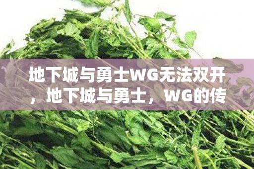 地下城与勇士WG无法双开，地下城与勇士，WG的传奇之旅