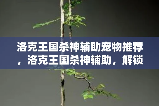 洛克王国杀神辅助宠物推荐，洛克王国杀神辅助，解锁游戏新境界的利器