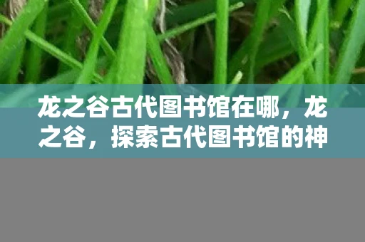 龙之谷古代图书馆在哪，龙之谷，探索古代图书馆的神秘之旅