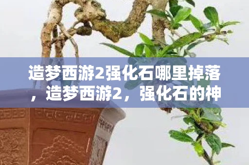 造梦西游2强化石哪里掉落，造梦西游2，强化石的神秘力量