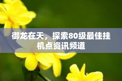 探索80级最佳挂机点资讯频道图片
