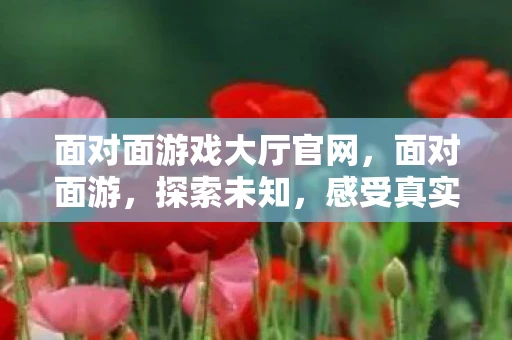 面对面游戏大厅官网，面对面游，探索未知，感受真实