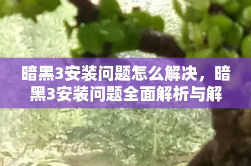 暗黑3安装问题怎么解决，暗黑3安装问题全面解析与解决指南
