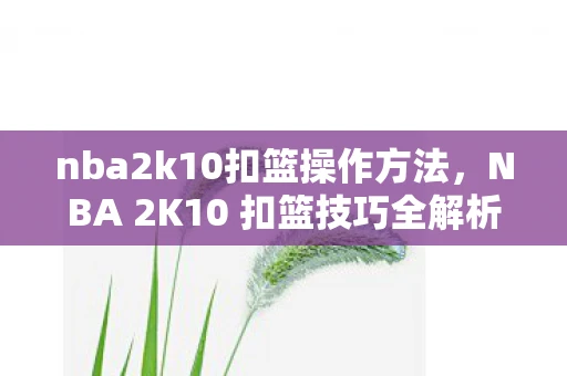 nba2k10扣篮操作方法，NBA 2K10 扣篮技巧全解析