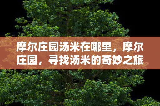 摩尔庄园汤米在哪里，摩尔庄园，寻找汤米的奇妙之旅