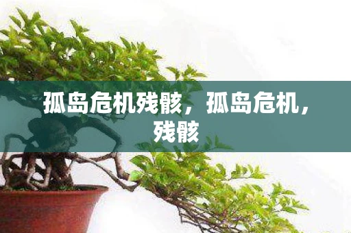 孤岛危机残骸，孤岛危机，残骸