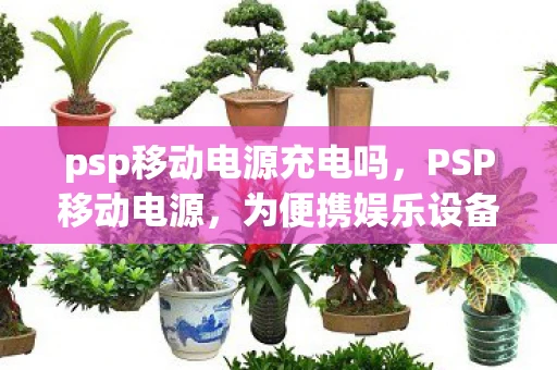 psp移动电源充电吗，PSP移动电源，为便携娱乐设备充电的最佳伴侣